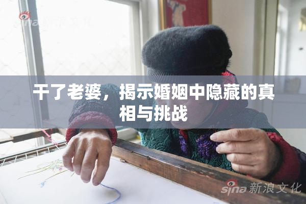 干了老婆，揭示婚姻中隐藏的真相与挑战