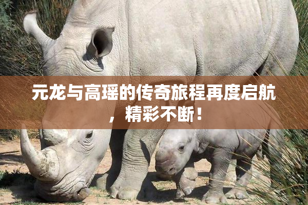 元龙与高瑶的传奇旅程再度启航，精彩不断！