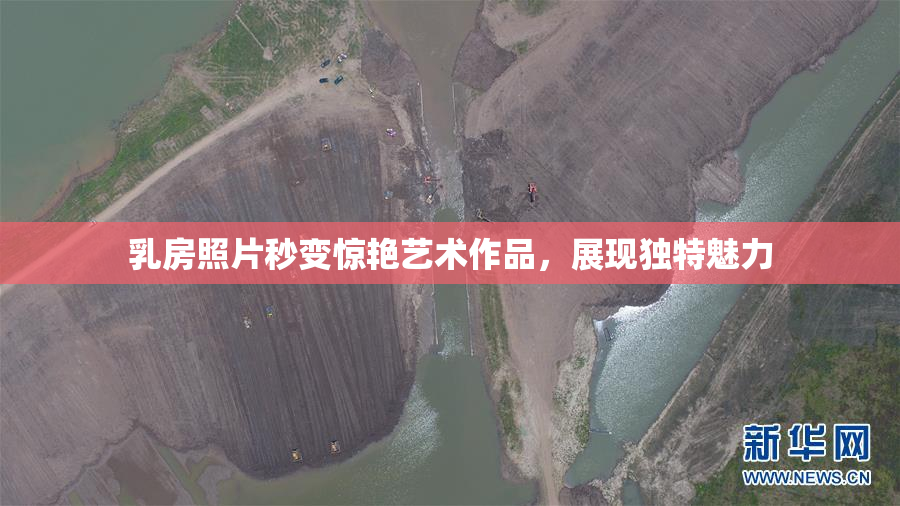 乳房照片秒变惊艳艺术作品，展现独特魅力