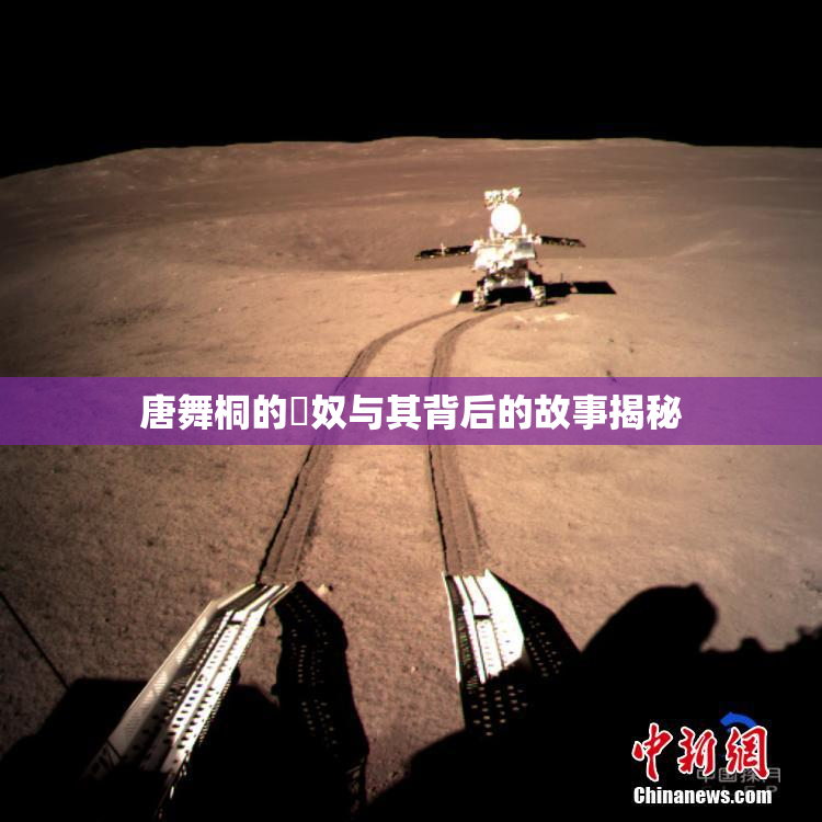 唐舞桐的婬奴与其背后的故事揭秘