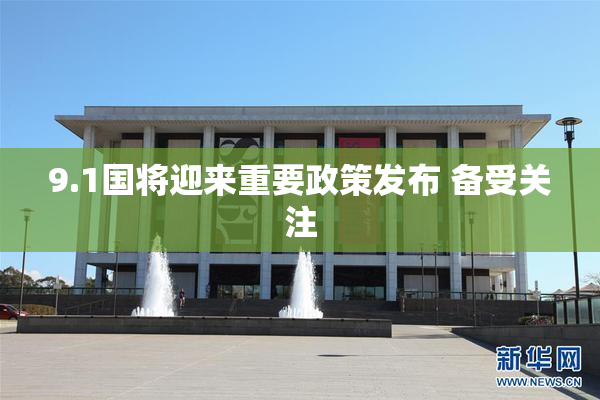 9.1国将迎来重要政策发布 备受关注