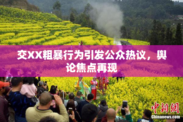 交XX粗暴行为引发公众热议，舆论焦点再现