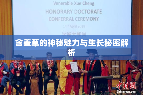 含羞草的神秘魅力与生长秘密解析