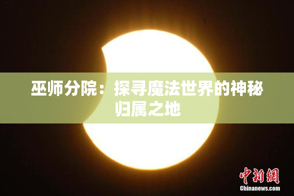 巫师分院：探寻魔法世界的神秘归属之地