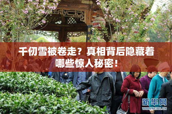千仞雪被卷走？真相背后隐藏着哪些惊人秘密！