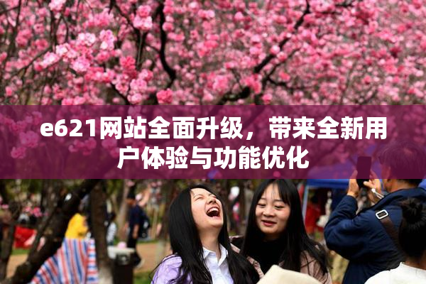 e621网站全面升级，带来全新用户体验与功能优化