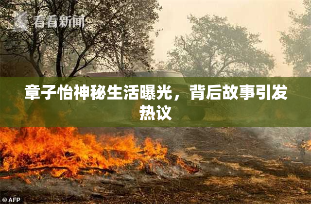 章子怡神秘生活曝光，背后故事引发热议