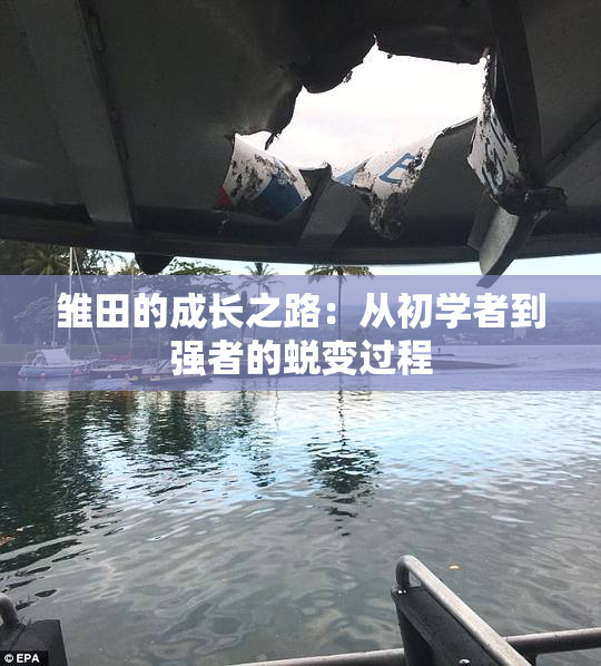 雏田的成长之路：从初学者到强者的蜕变过程