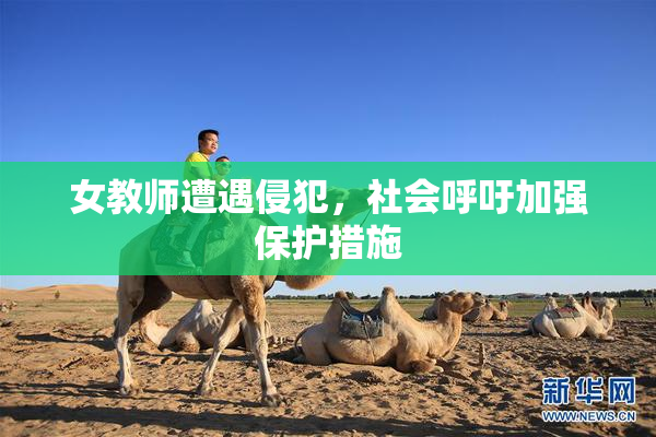 女教师遭遇侵犯，社会呼吁加强保护措施