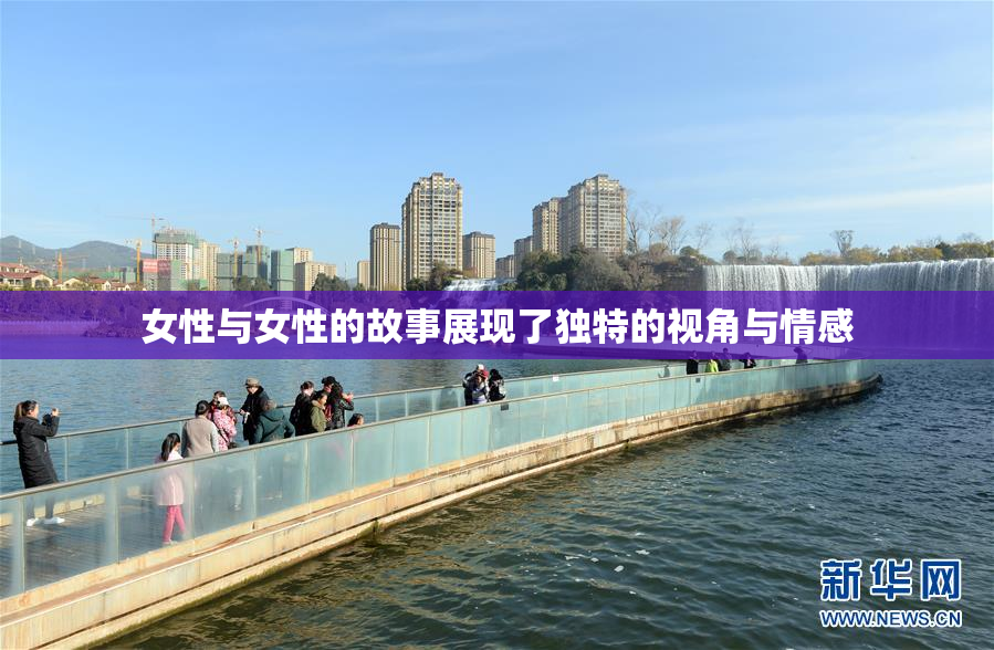 女性与女性的故事展现了独特的视角与情感