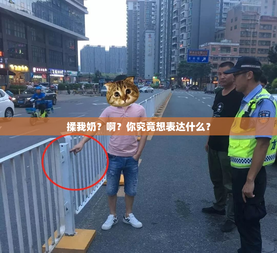揉我奶？啊？你究竟想表达什么？