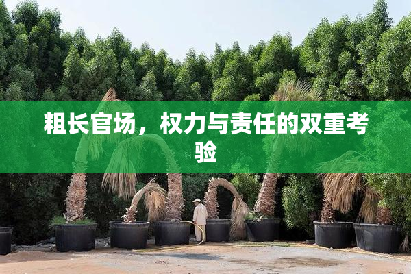 粗长官场，权力与责任的双重考验