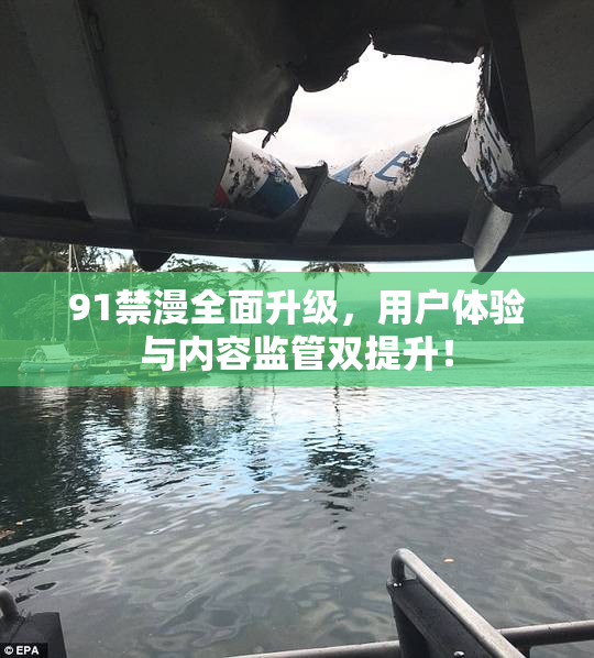 91禁漫全面升级，用户体验与内容监管双提升！