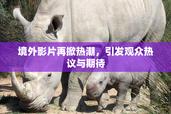 境外影片再掀热潮，引发观众热议与期待