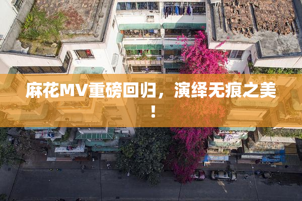 麻花MV重磅回归，演绎无痕之美！