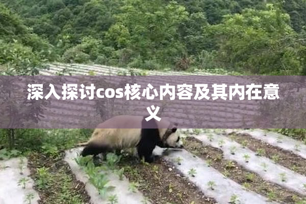 深入探讨cos核心内容及其内在意义