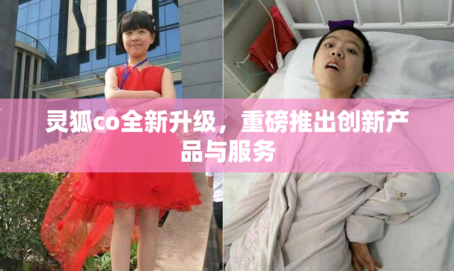 灵狐co全新升级，重磅推出创新产品与服务