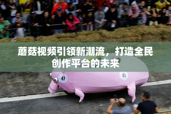 蘑菇视频引领新潮流，打造全民创作平台的未来