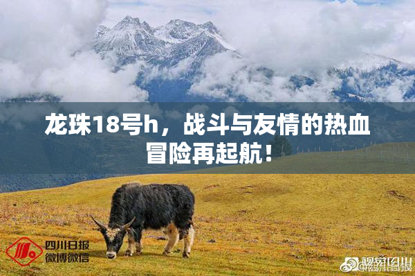 龙珠18号h，战斗与友情的热血冒险再起航！