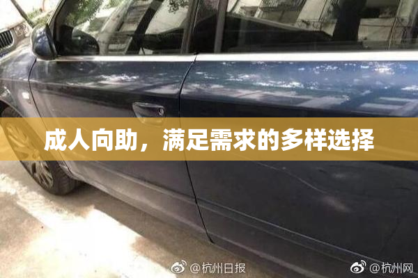 成人向助，满足需求的多样选择