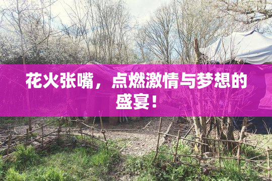 花火张嘴，点燃激情与梦想的盛宴！