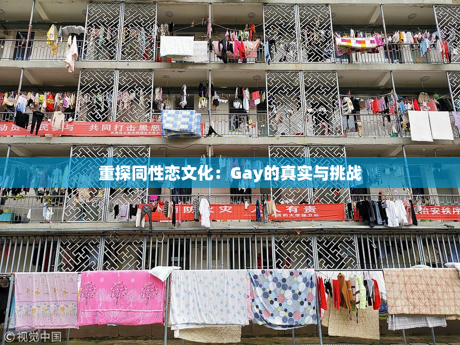 重探同性恋文化：Gay的真实与挑战