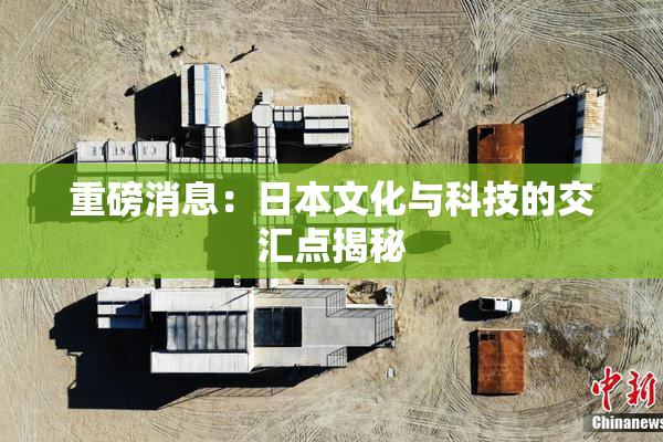 重磅消息：日本文化与科技的交汇点揭秘