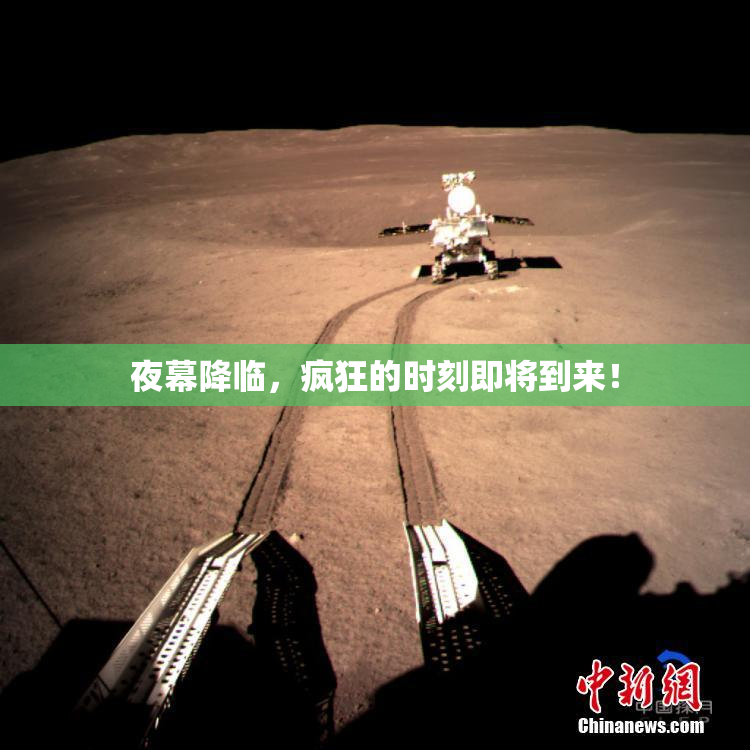 夜幕降临，疯狂的时刻即将到来！