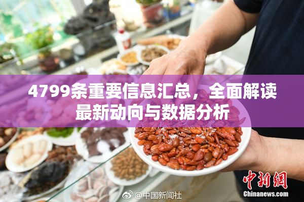 4799条重要信息汇总，全面解读最新动向与数据分析