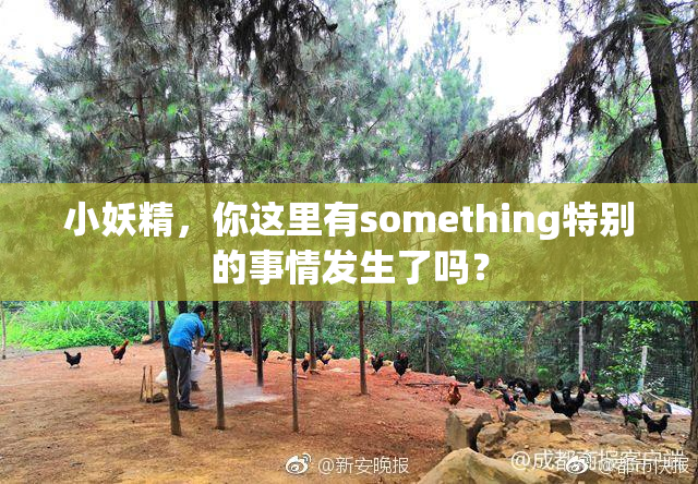 小妖精，你这里有something特别的事情发生了吗？