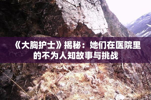 《大胸护士》揭秘：她们在医院里的不为人知故事与挑战