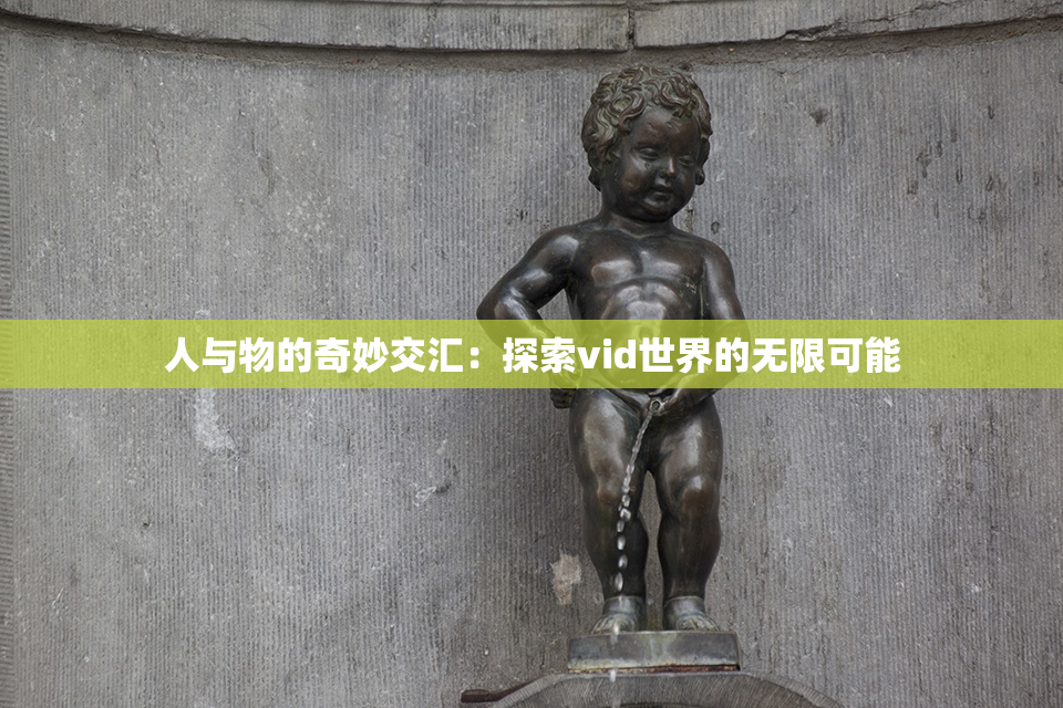 人与物的奇妙交汇：探索vid世界的无限可能