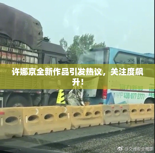 许娜京全新作品引发热议，关注度飙升！