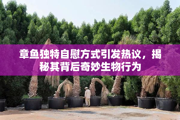 章鱼独特自慰方式引发热议，揭秘其背后奇妙生物行为