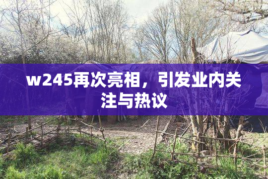 w245再次亮相，引发业内关注与热议