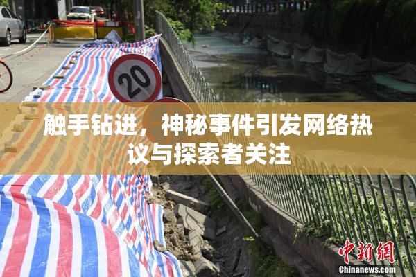 触手钻进，神秘事件引发网络热议与探索者关注