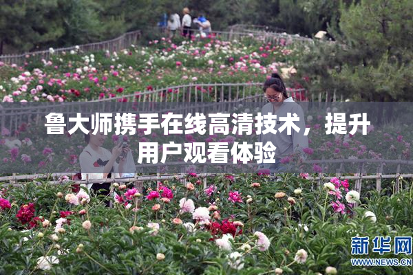 鲁大师携手在线高清技术，提升用户观看体验
