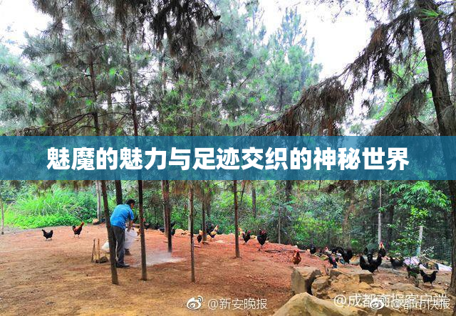 魅魔的魅力与足迹交织的神秘世界