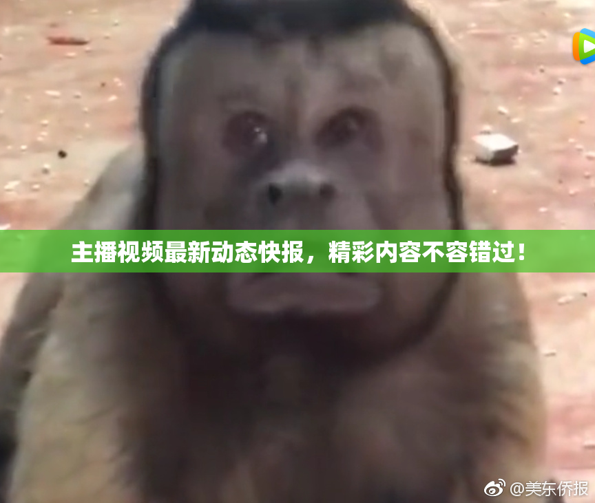 主播视频最新动态快报，精彩内容不容错过！