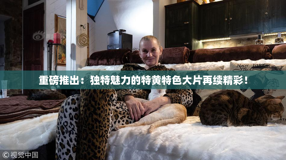 重磅推出：独特魅力的特黄特色大片再续精彩！