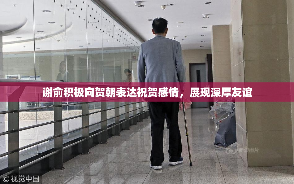 谢俞积极向贺朝表达祝贺感情，展现深厚友谊