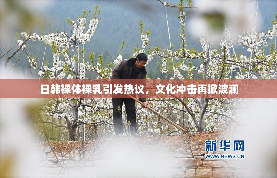 日韩裸体裸乳引发热议，文化冲击再掀波澜