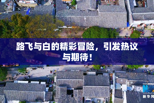 路飞与白的精彩冒险，引发热议与期待！