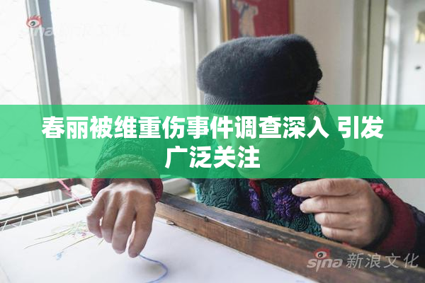 春丽被维重伤事件调查深入 引发广泛关注