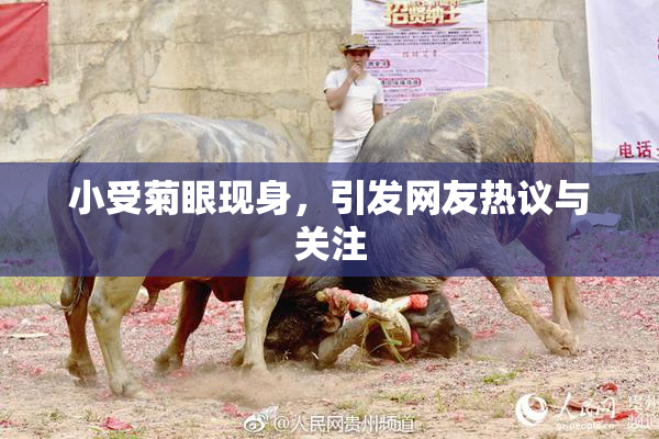 小受菊眼现身，引发网友热议与关注
