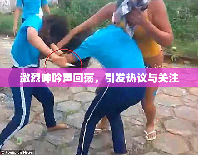 激烈呻吟声回荡，引发热议与关注