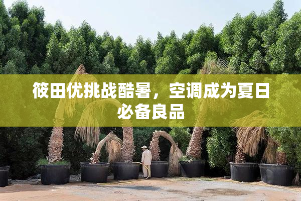 筱田优挑战酷暑，空调成为夏日必备良品