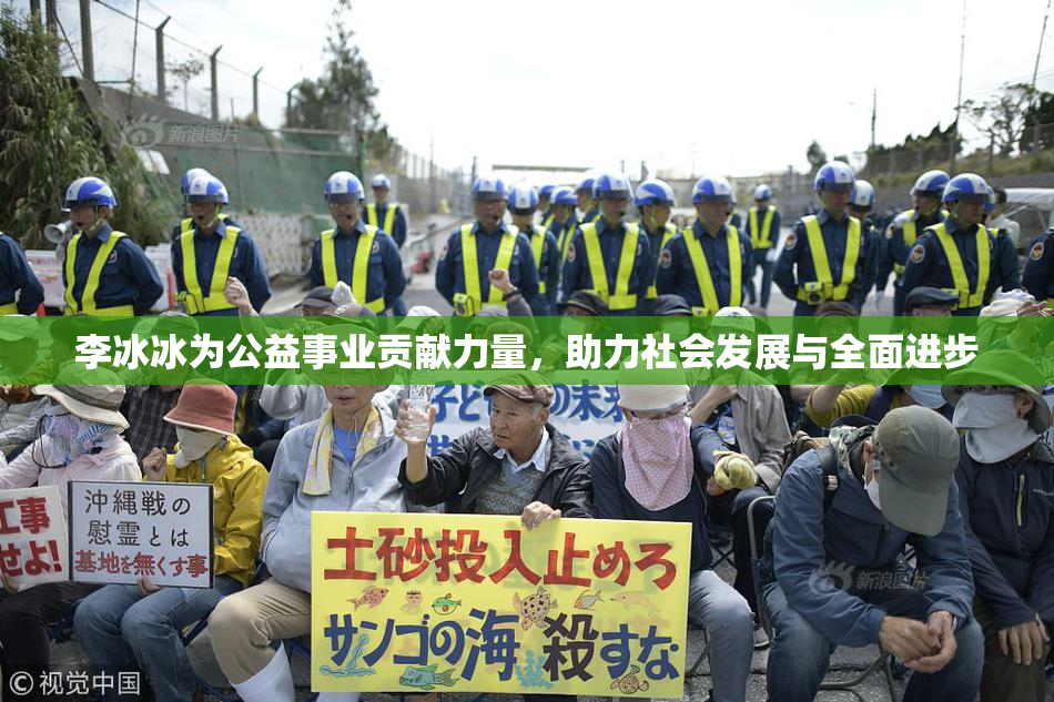 李冰冰为公益事业贡献力量，助力社会发展与全面进步