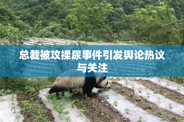 总裁被攻揉尿事件引发舆论热议与关注