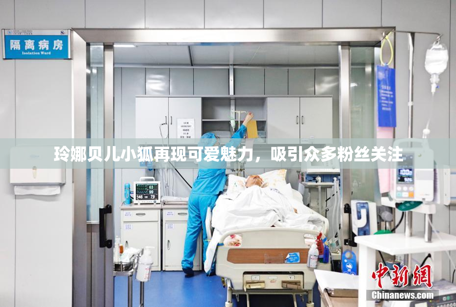 玲娜贝儿小狐再现可爱魅力，吸引众多粉丝关注